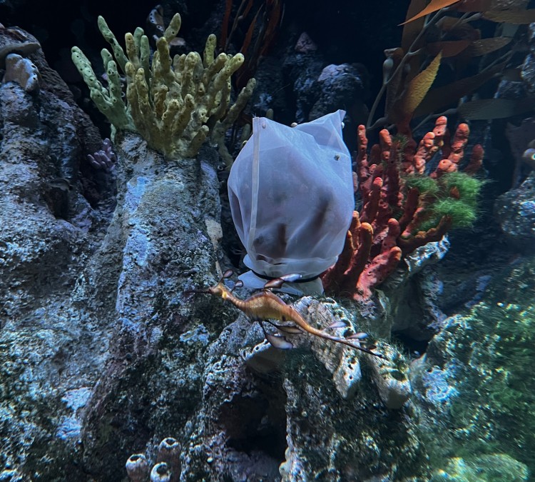 new-england-aquarium-photo